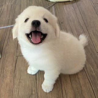 3週間実施します1
